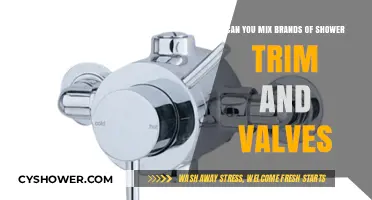 Mixing Shower Trim and Valves: Can You Combine Different Brands?