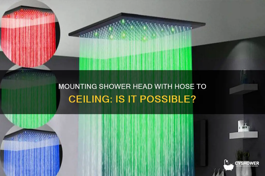 can you mount the shower head with hose to celing