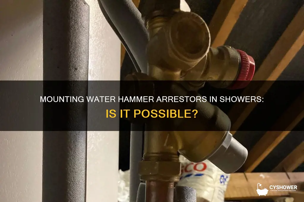 can you mount water hammer devices in a shower