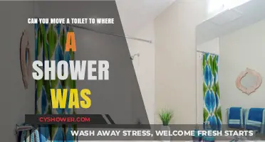 Relocating Your Toilet: Can You Swap It with a Shower?