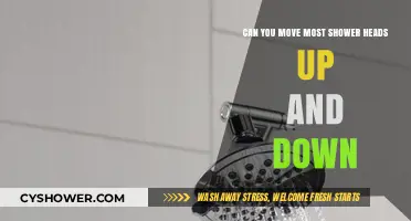 Adjustable Shower Heads: Can You Move Them Up and Down?
