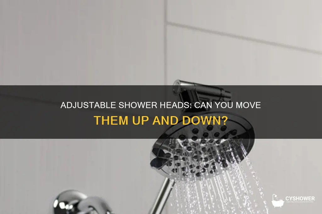 can you move most shower heads up and down