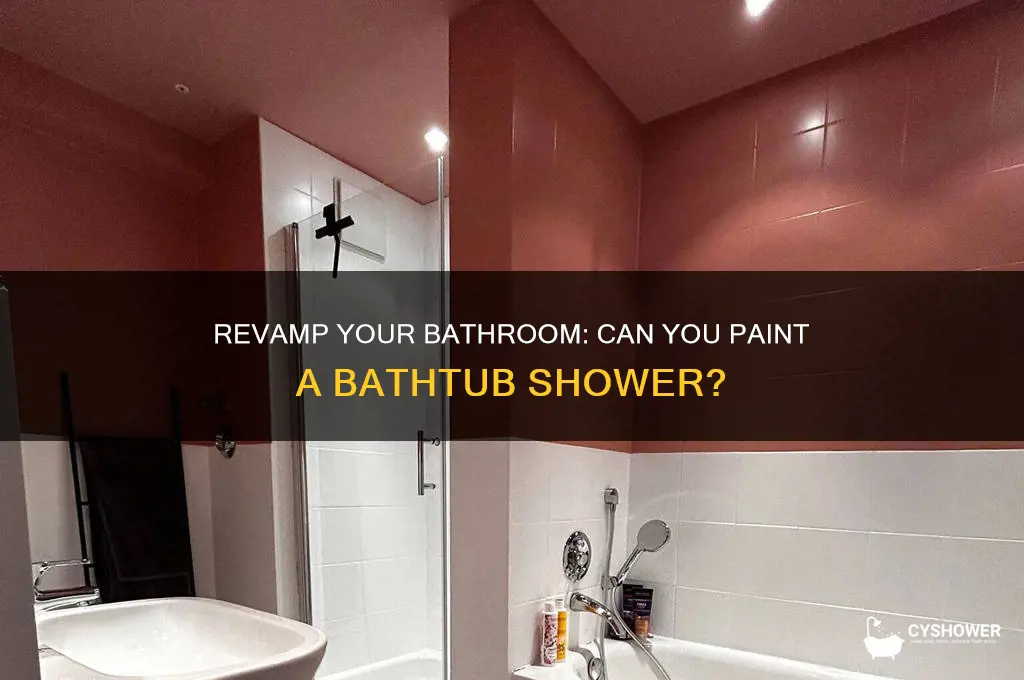 can you paint a bathtub shower