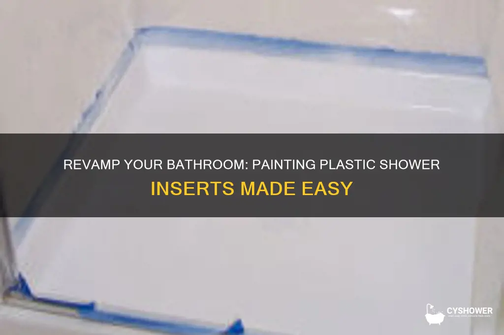 can you paint a plastic shower insert