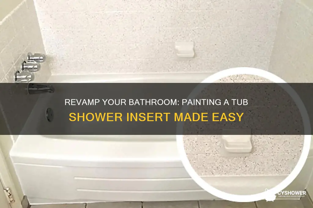 can you paint a tub shower insert
