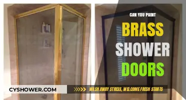Painting Brass Shower Doors: A DIY Guide for Modern Updates