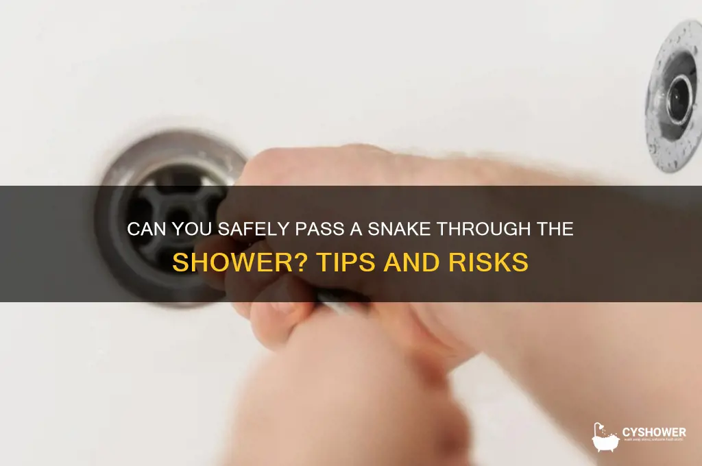 can you pass the snake through the shower