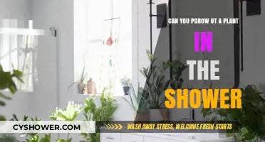 Growing Plants in Your Shower: A Surprising Green Oasis Idea