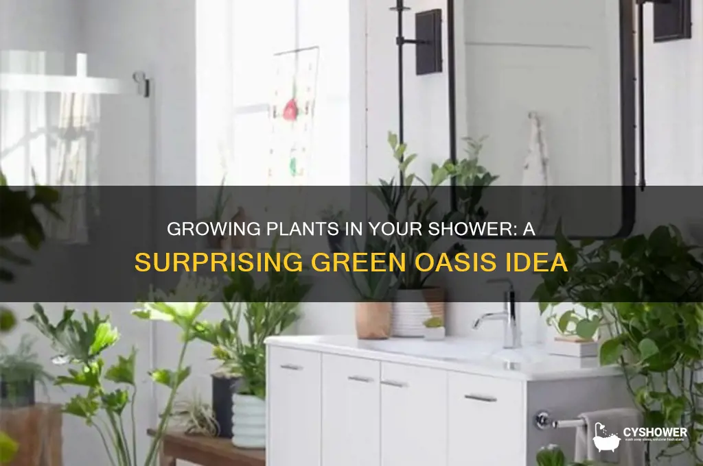 can you pgrow ut a plant in the shower