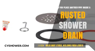 Replacing Rusted Shower Drains: Can You Insert a New Pipe Inside?