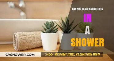 Shower Succulents: Benefits, Tips, and Best Practices for Placement