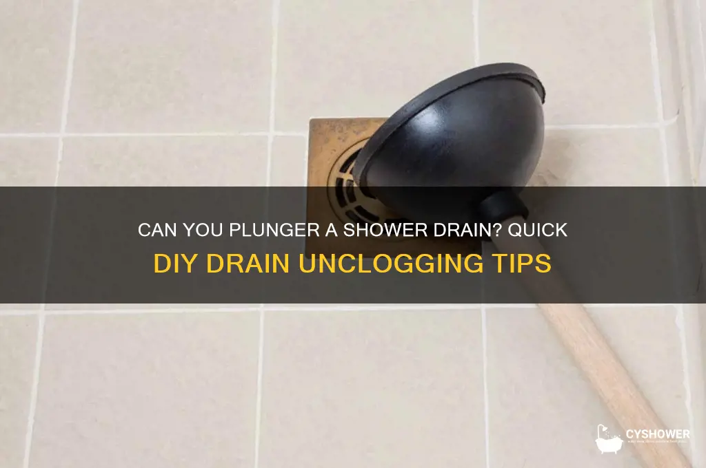 can you plunger a shower drain
