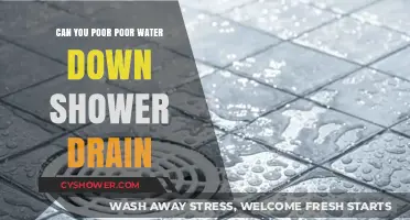 Pouring Poorly: Can You Safely Drain Water Down the Shower?