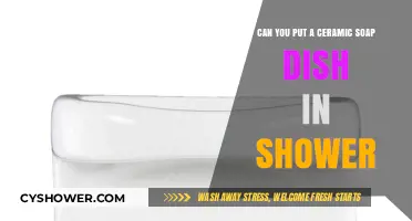 Ceramic Soap Dish in Shower: Practical Tips and Considerations