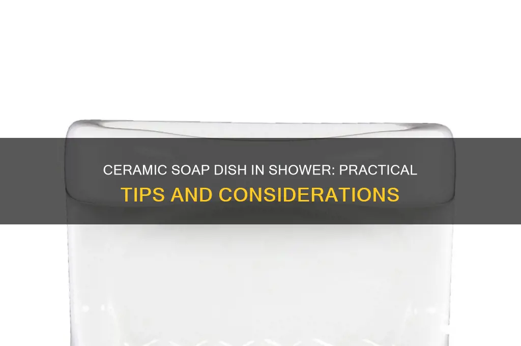 can you put a ceramic soap dish in shower