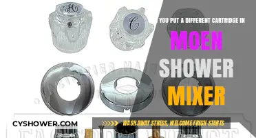 Can You Use a Different Cartridge in a Moen Shower Mixer?