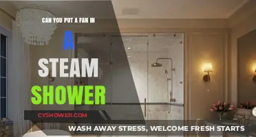Can You Install a Fan in a Steam Shower? Pros and Cons