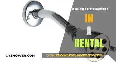 Upgrading Your Rental Shower Head: What Renters Need to Know
