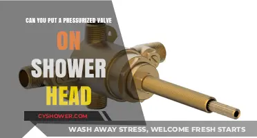 Can You Install a Pressurized Valve on Your Shower Head?