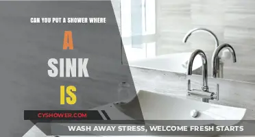 Shower in Place of Sink: Feasibility, Challenges, and Creative Solutions