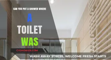 Shower Installation in Toilet Space: Is It Possible and Practical?