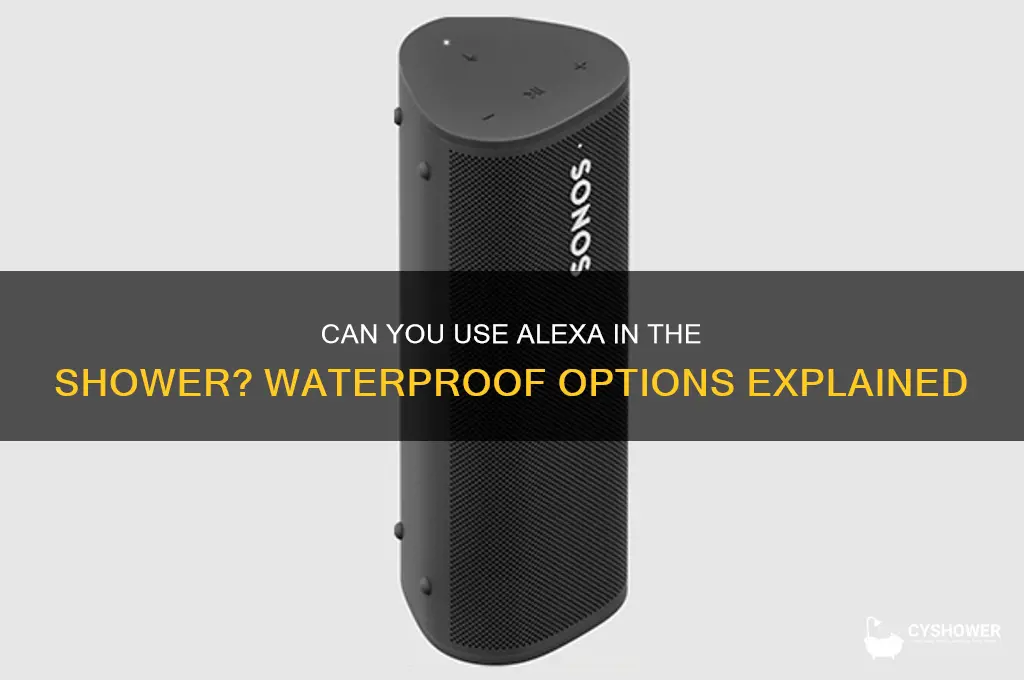 can you put alexa on the shower