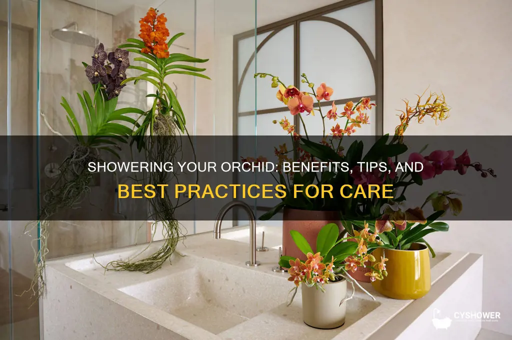 can you put an orchid in the shower