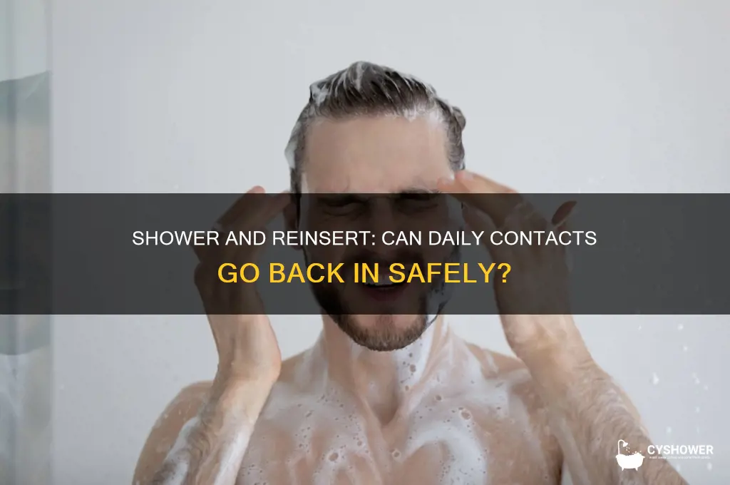 can you put daily contacts back in after a shower