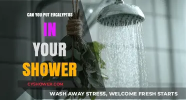 Refresh Your Shower Routine: Eucalyptus Benefits and How-To Guide