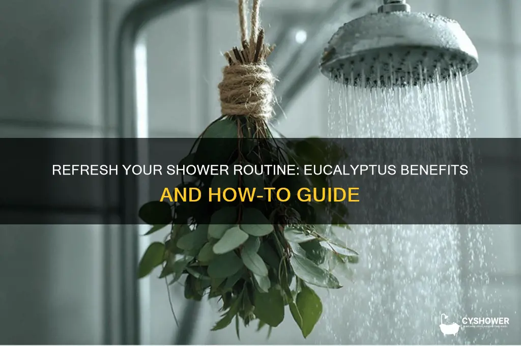 can you put eucalyptus in your shower