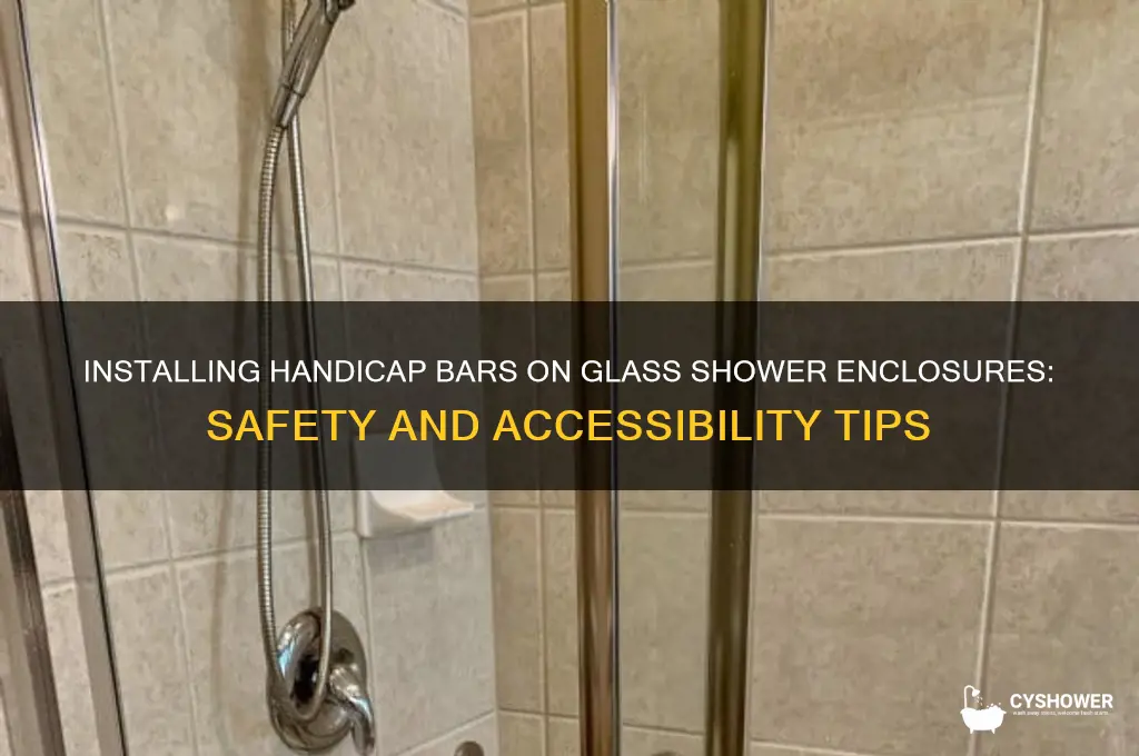 can you put handicap bars on glass shower enclosures