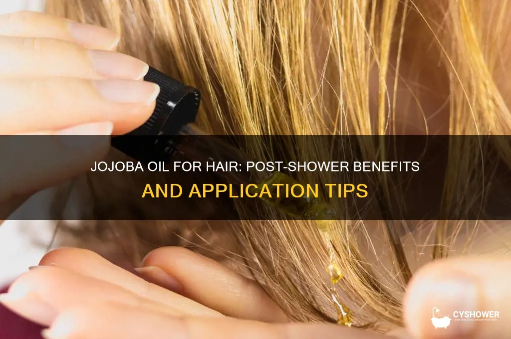 can you put jojoba oil in your hair after shower