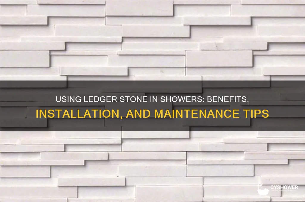 can you put ledger stone in a shower