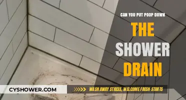 Can You Flush Poop Down the Shower Drain? Risks and Solutions
