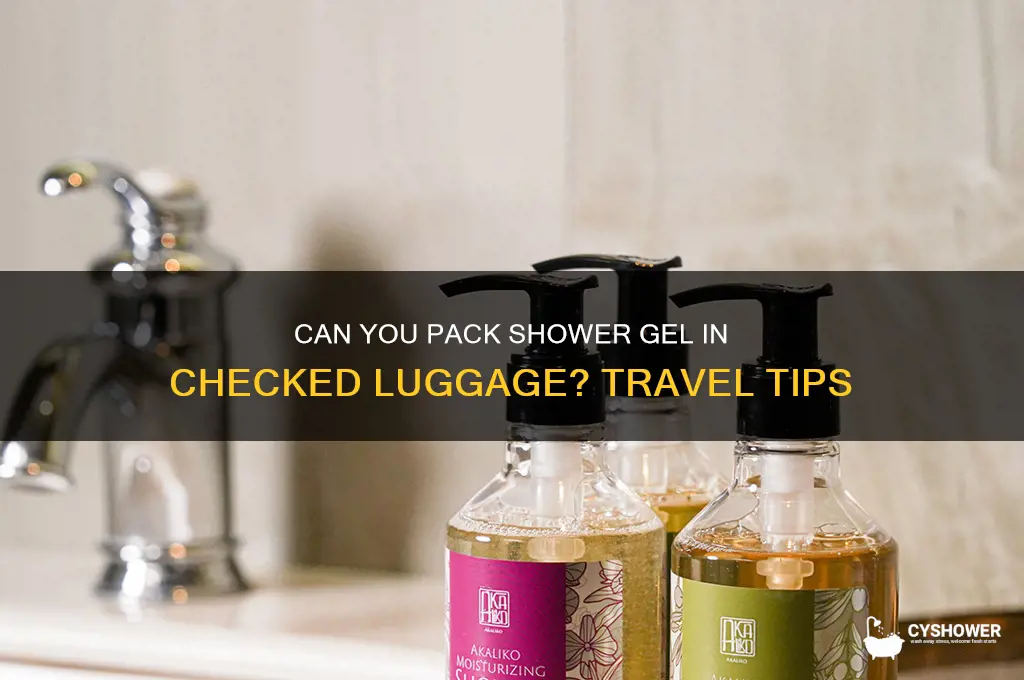 can you put shower gel in hold luggage
