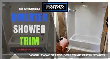 Refinishing Diverter Shower Trim: DIY Guide to Restore Your Bathroom Fixture