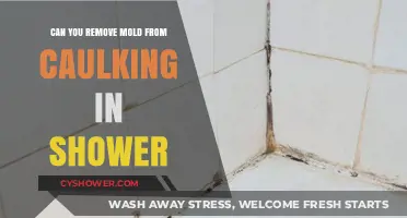 Effective Ways to Remove Mold from Shower Caulking: A Step-by-Step Guide