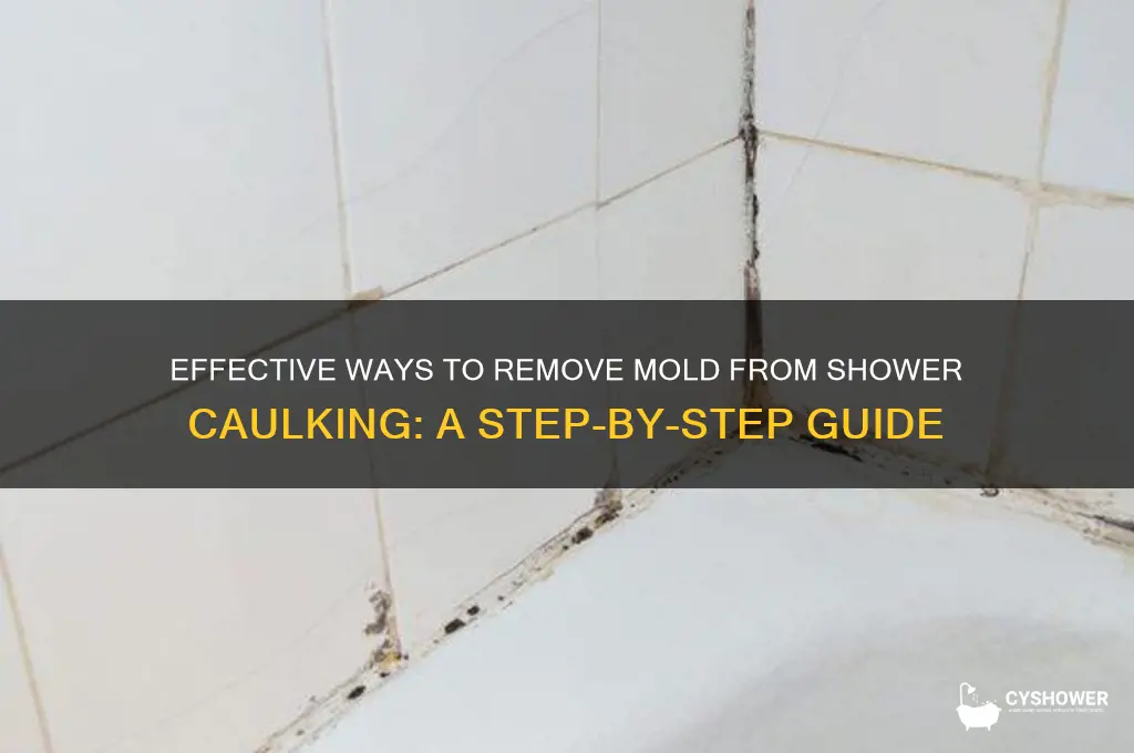can you remove mold from caulking in shower