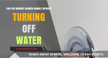Removing Shower Handle Without Shutting Off Water: Is It Possible?