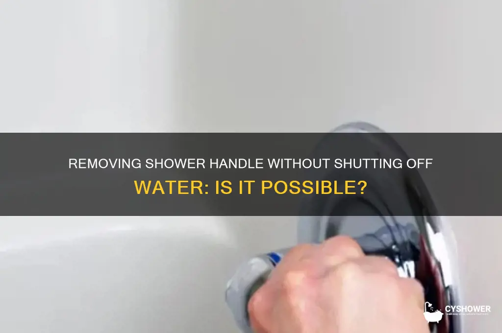 can you remove shower handle without turning off water