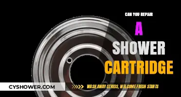 How to Repair a Shower Cartridge: DIY Guide and Tips