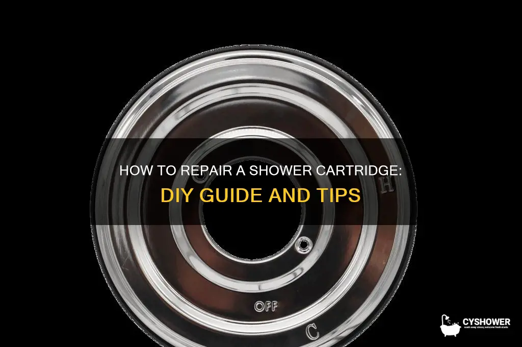 can you repair a shower cartridge