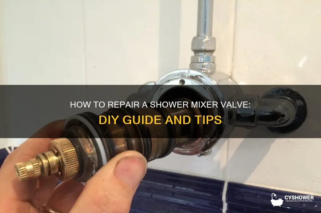 can you repair a shower mixer valve
