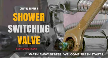 How to Repair a Shower Switching Valve: DIY Guide and Tips