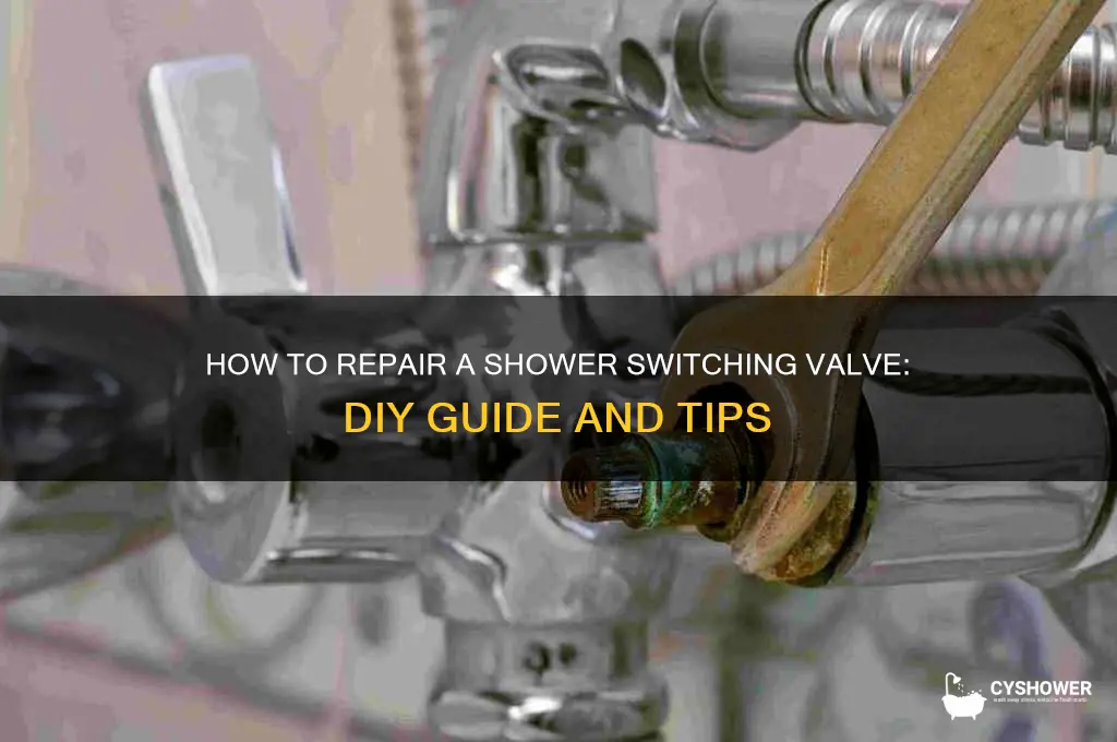 can you repair a shower switching valve