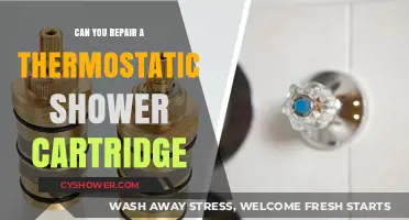 Repairing a Thermostatic Shower Cartridge: DIY Guide and Tips