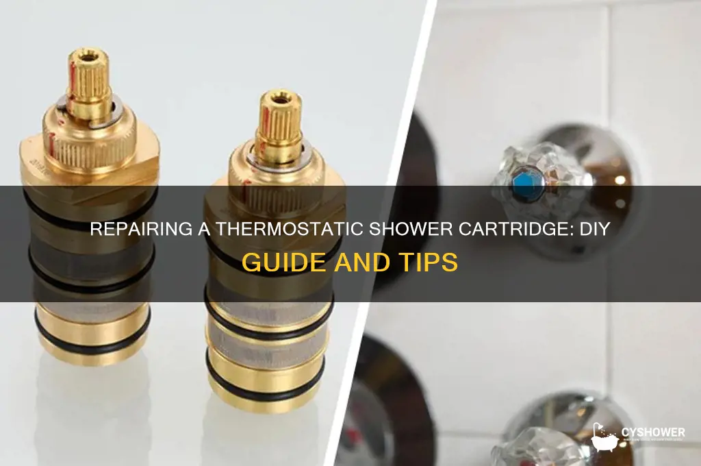 can you repair a thermostatic shower cartridge