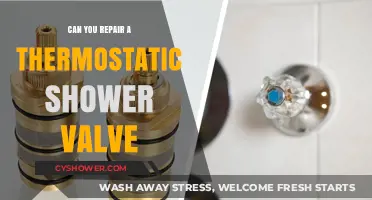 How to Repair a Thermostatic Shower Valve: DIY Guide