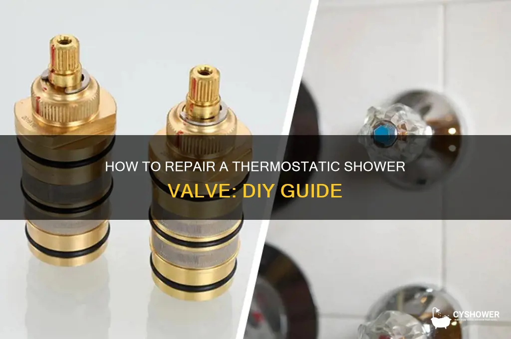 can you repair a thermostatic shower valve