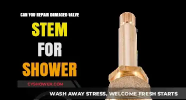 Repairing Damaged Shower Valve Stems: DIY Fixes and Replacement Tips